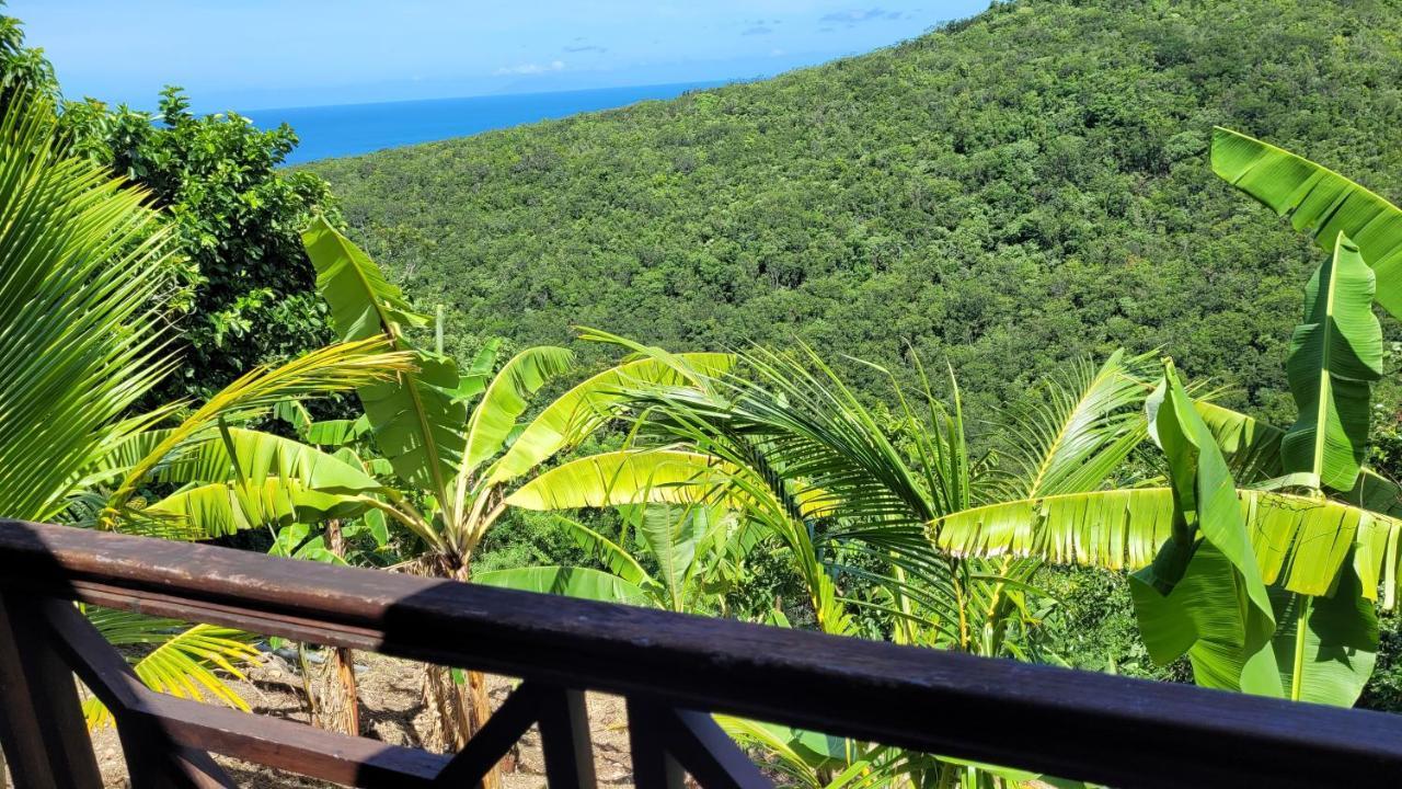 Domaine Karaibes Villa Deshaies Luaran gambar