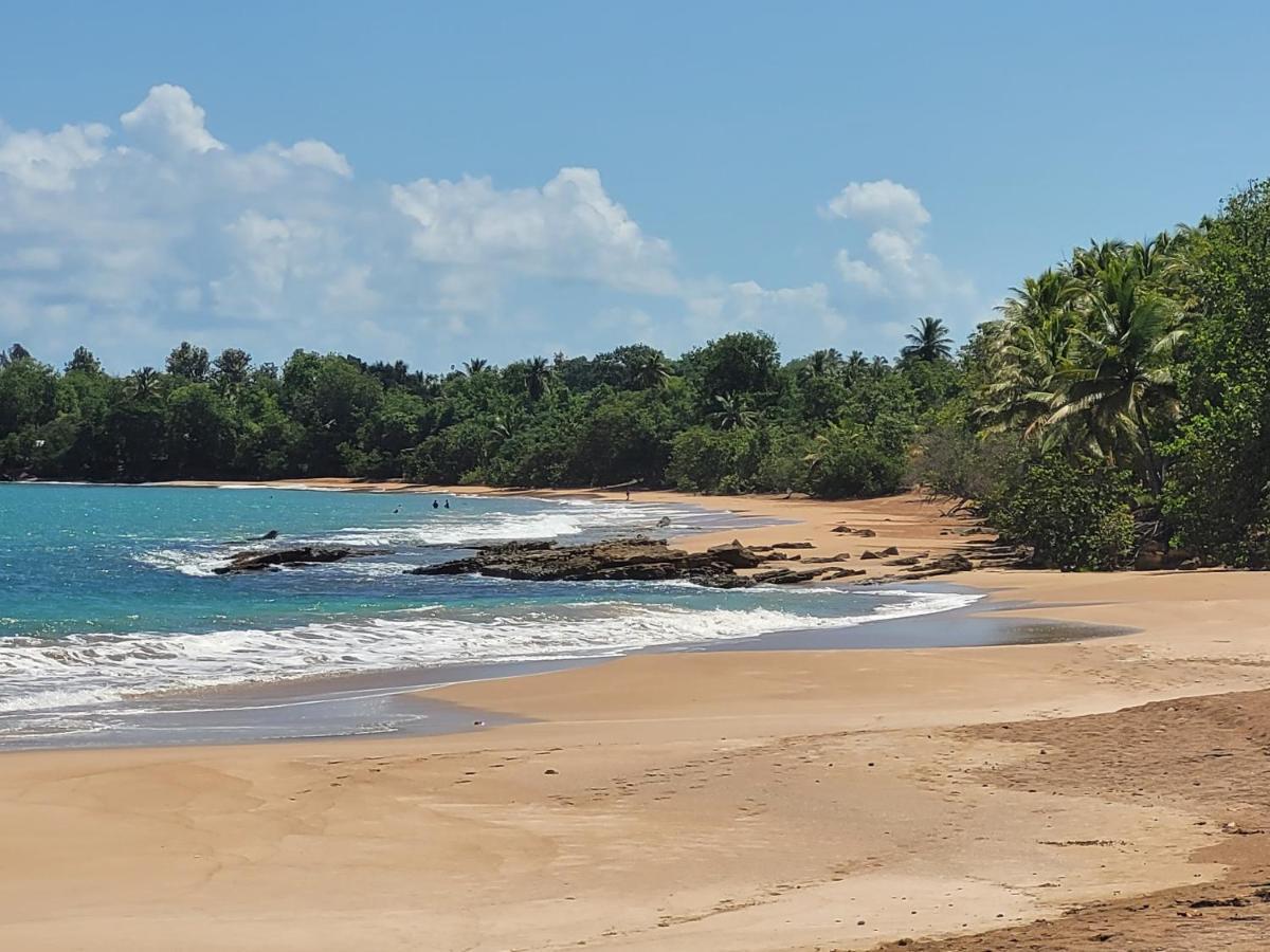 Domaine Karaibes Villa Deshaies Luaran gambar